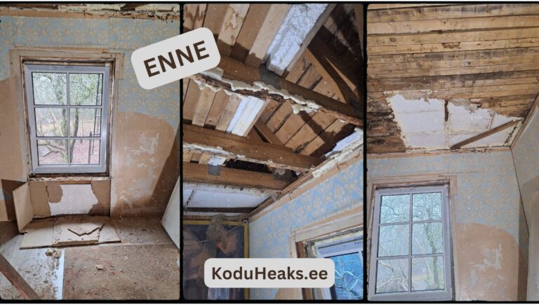 koduheaks.ee sisetööd